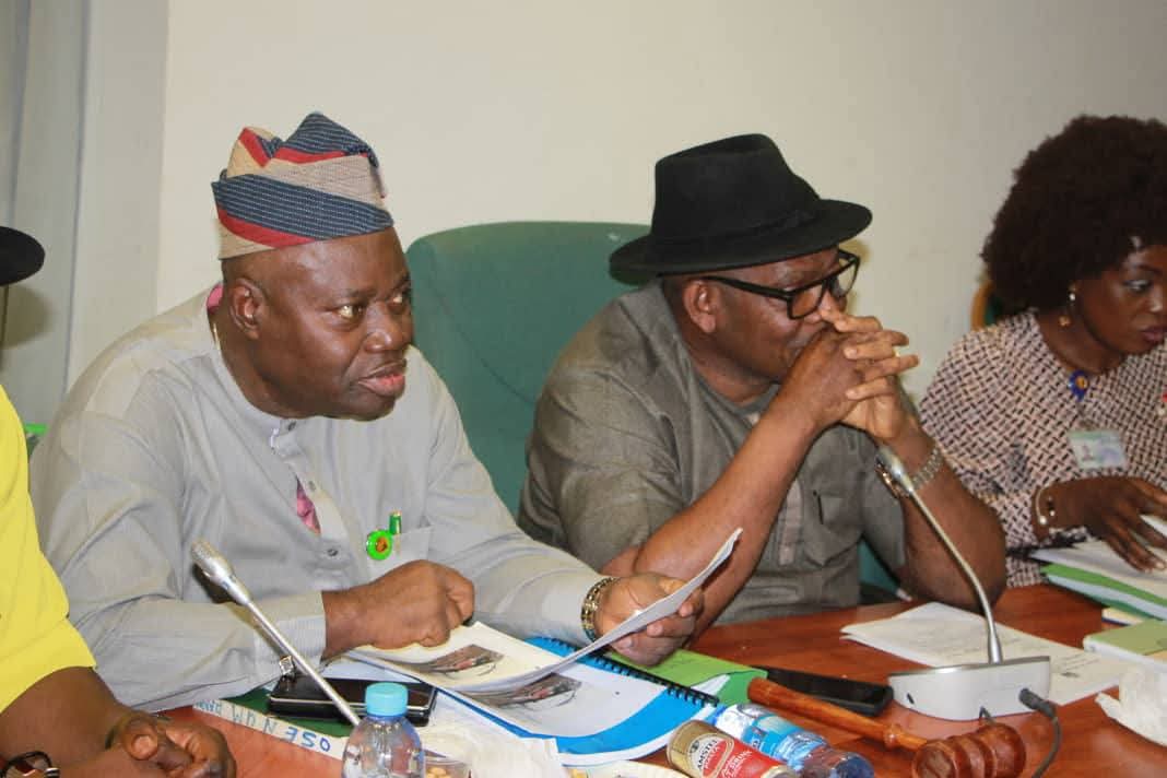 Ogoni Clean-up Funds: Fabeke Testifies Before Reps Committee